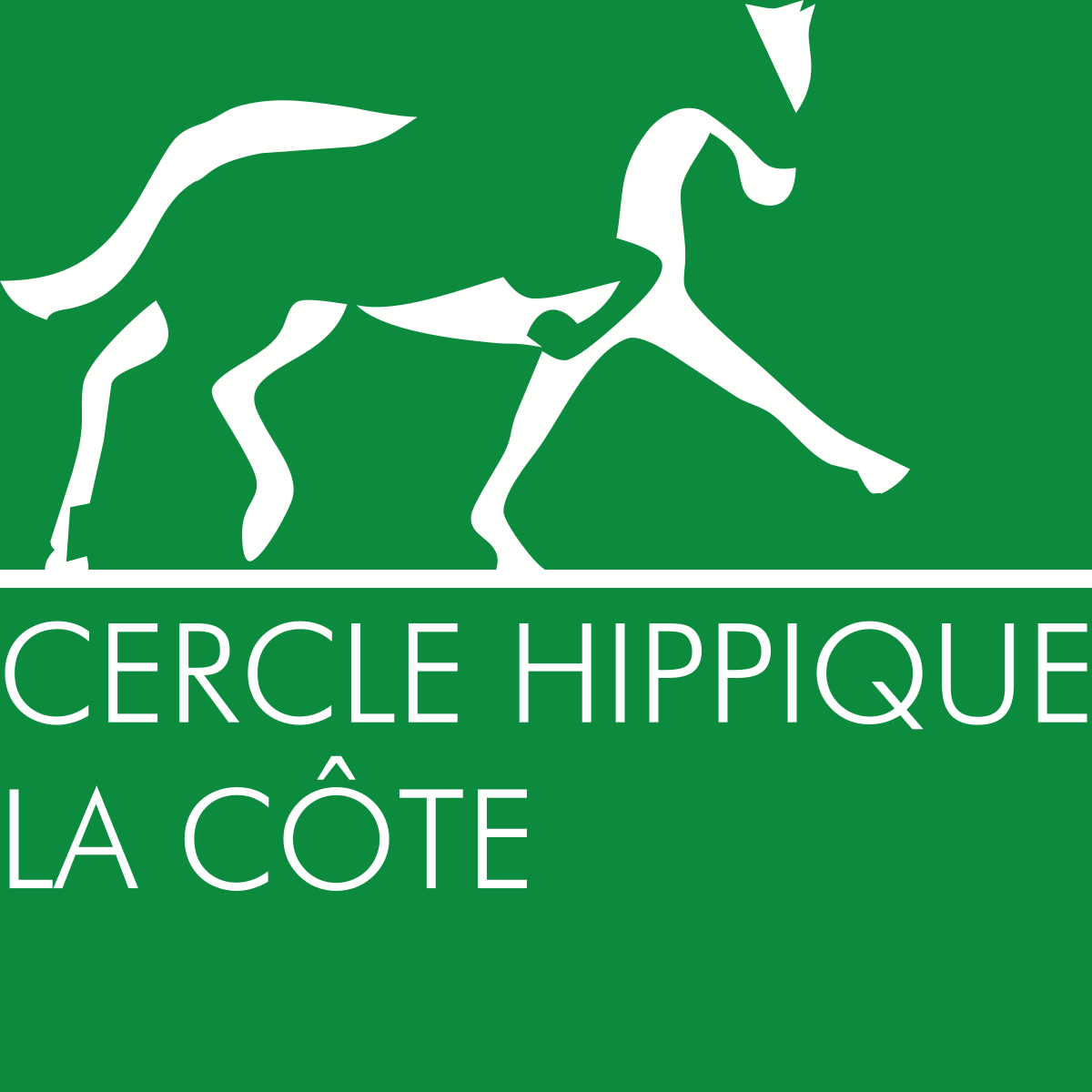 Plaque De Concours Hippique – Cercle De L’Étrier 1972, Vintage équitation